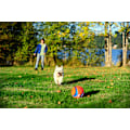 Miniatyrbild 4 av 6: Chuckit Kick Fetch S 14 cm