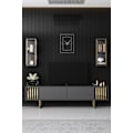 Miniatyrbillede 2 af 9: TV Unit Gold Line - antracit, sort
