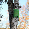 Miniatyrbild 2 av 9: Grön fladdermuslåda i trä