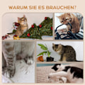Miniatyrbild 7 av 10: Kattklätterväggsset, 3-delad kattmöbel med skrapstolpe, sittpinnar, stege, trappsteg, skrapbräda, för katter upp till 5 kg, sisal, beige