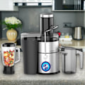 Miniatyrbillede 2 af 5: Royalty Line RL-PJ19003: 4-i-1 juicer, blender, hakker og kværn