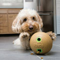 Miniatyrbild 2 av 3: KONG Bamboo Feeder Ball Md