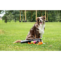 Miniatyrbild 2 av 6: Dog Comets Comet launcher