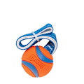 Miniatyrbillede 1 af 6: Chuckit Ultra Tug M 6 cm