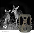 Miniatyrbillede 2 af 8: Wildlife Kamera | 4K@10fps | 50 MPixel | 8 MPixel CMOS | IP65 | Sort No-Glow IR | Nattesyn | Synsvinkel: 100 ° | Bevægelsessensor | Detektionsvinkel: