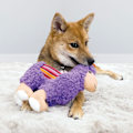 Miniatyrbild 2 av 4: KONG Sherps Lama Md
