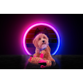 Miniatyrbillede 3 af 3: Retrodog Donkey Pink M