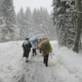 Miniatyrbild 2 av 8: Regnponcho för engångsbruk, uppsättning om 20 Gul one size