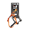 Miniatyrbillede 1 af 4: AFP Off Street Dog Non-pull Sele Tangerine M