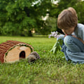 Miniatyrbild 3 av 6: Igelkottshus med golv