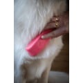 Miniatyrbillede 2 af 6: Fremragende Pet Grooming Brush Medium sort
