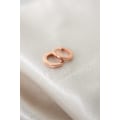 Miniatyrbillede 1 af 5: Sølvørering FA182245