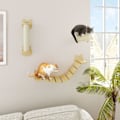 Miniatyrbild 2 av 10: Kattklätterväggsset, 3-delad kattmöbel med skrapstolpe, stegplatta, stege, väggskrapstolpe för katter upp till 5 kg, gjord av furu, naturligt trä