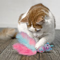 Miniatyrbillede 2 af 3: KONG Cat Wubba Caticorn