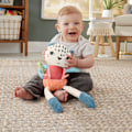 Pikkukuva 5 / 6: Fisher-Price Spotting Fun -Pehmolelu