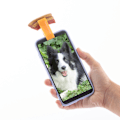 Pikkukuva 5 / 8: Selfie-klipsi lemmikille Pefie InnovaGoods