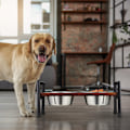 Miniatyrbillede 2 af 7: Foderstation til hunde