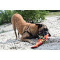 Miniatyrbild 5 av 6: Hozies Jeffrey Jungle Small