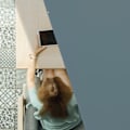 Miniatyrbillede 3 af 9: Solsejl rektangulært beige