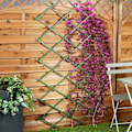 Miniatyrbillede 2 af 8: Justerbar plastrist til klatreplanter i haven