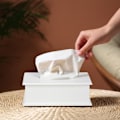 Miniatyrbillede 2 af 7: Tissue box med låg
