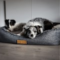Miniatyrbillede 4 af 6: Personlig ortopædisk hundeseng Dogeste XXL grå-sort