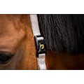 Pikkukuva 3 / 3: Erinomainen Horse Essential Halter XS Mini Foal Grey
