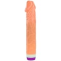 Pikkukuva 3 / 8: Baile - Waves Of Pleasure Realistic Vibrating 22,5 cm