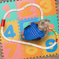 Miniatyrbillede 6 af 9: Puslespilsmåtte med tal