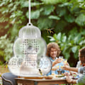 Miniatyrbild 2 av 8: Insektsfälla transparent set om 2