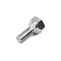 Pikkukuva 1 / 2: AL-KO Jarrurummun pyörän pultti M10 x 1,25 x 22 mm