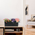 Miniatyrbild 5 av 7: Blomlåda inomhus svart
