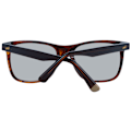 Miniatyrbillede 3 af 4: WEB SUNGLASSES