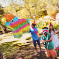Pikkukuva 2 / 8: Pinata Aasi