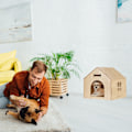 Miniatyrbillede 3 af 8: Hundehus til indendørs brug til at bygge selv