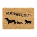 Pikkukuva 1 / 7: Ovimatto kookosta "Hereingedackelt"
