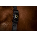 Miniatyrbillede 2 af 4: Fremragende Horse Superior Halter XS Mini Føl Sort