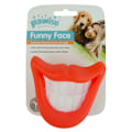 Pikkukuva 1 / 2: Pawise Funny Face Big Tooth (8,5x9cm)