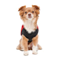 Miniatyrbillede 4 af 6: Gooeez Mock Neck Signature Jacket 2XS Rød/Sort