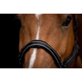 Miniatyrbillede 3 af 4: Fremragende Horse Superior Halter XS Mini Føl Sort
