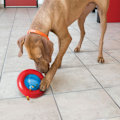 Miniatyrbillede 4 af 4: KONG Gyro Puppy Assorted Sm EU