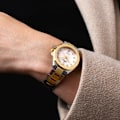 Miniatyrbillede 2 af 2: FESTINA WATCHES Mod. F20702/1