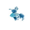 Pikkukuva 3 / 4: Pawise Catnip Fish
