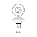 Pikkukuva 3 / 4: Auton polttimo 12V 45/40W P45t laatikossa