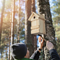 Pikkukuva 3 / 9: Puinen lintumaja, jossa terävä katto