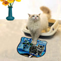 Miniatyrbild 1 av 2: Kattsand Mat Kdkafa0132