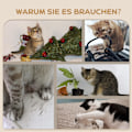 Miniatyrbild 7 av 10: Kattklättervägg 4 delar, klätterkattskrapstolpe med katttrappa, hängmatta, hoppplattform, väggskrapstolpe, väggkattmöbler, upp till 5 kg