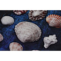 Pikkukuva 5 / 6: Bathmat Set (3 kpl) Seashell