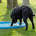 Miniatyrbillede 5 af 5: CoolPets Splash Pool Vandsprinkler