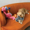 Miniatyrbillede 4 af 4: KONG Comfort Jumbo Birds XL